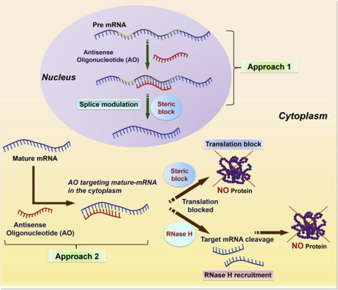 ASO mechanism